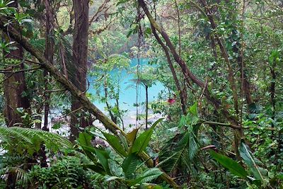 Parc du Rio Celeste - Bijagua - Mexique