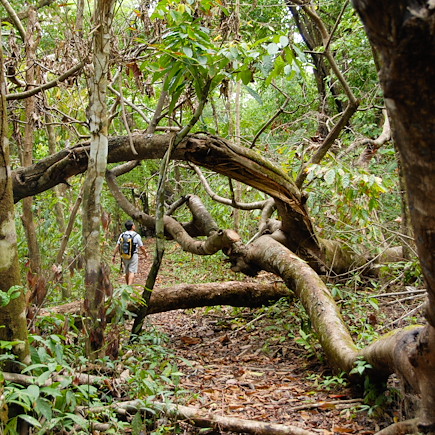 Trek Costa Rica Corcovado