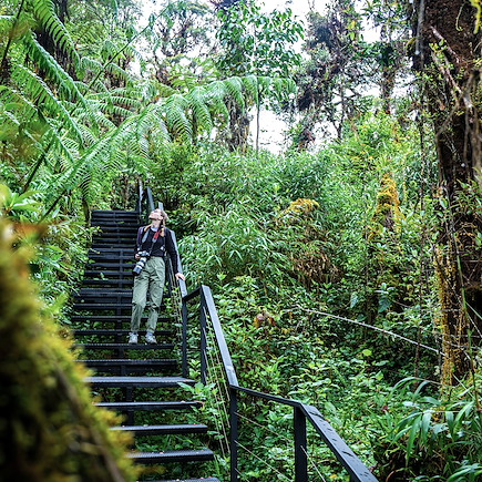 Trek Costa Rica Corcovado