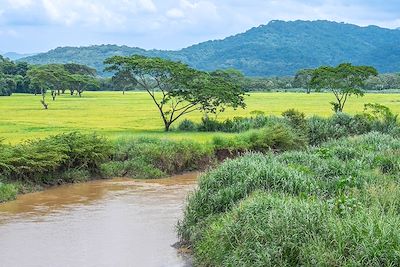 Rivière Tarcoles au Costa Rica 