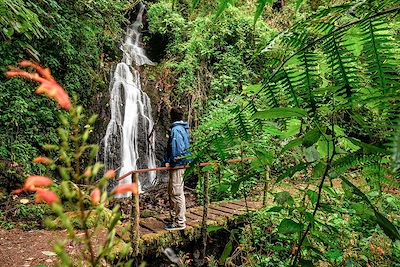 Randonneur - San Gerardo de Dota - Costa Rica