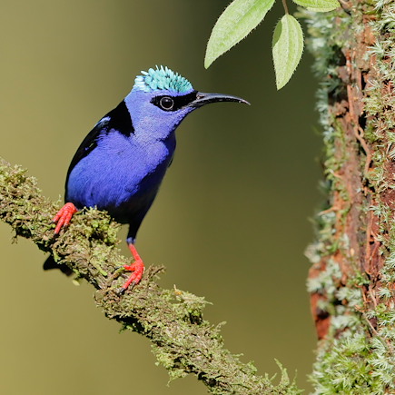 Voyage Costa Rica