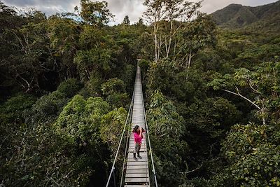 Femme sur un pont au dessus de la forêt - Costa Rica