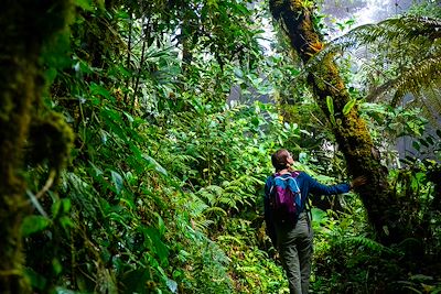 Jeune femme dans la jungle au Costa Rica