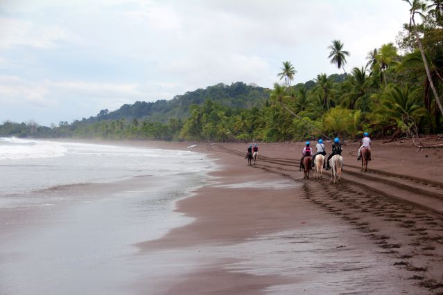 Voyage Nature et sensations fortes au Costa Rica