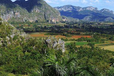 Vallée de Vinales - Cuba