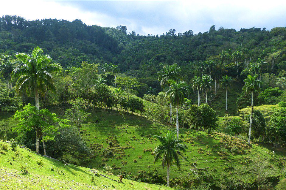 Image Voyage Cuba - Vallée de Viñales - La Havane