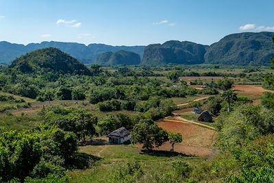 Voyage Cuba del Oeste 1