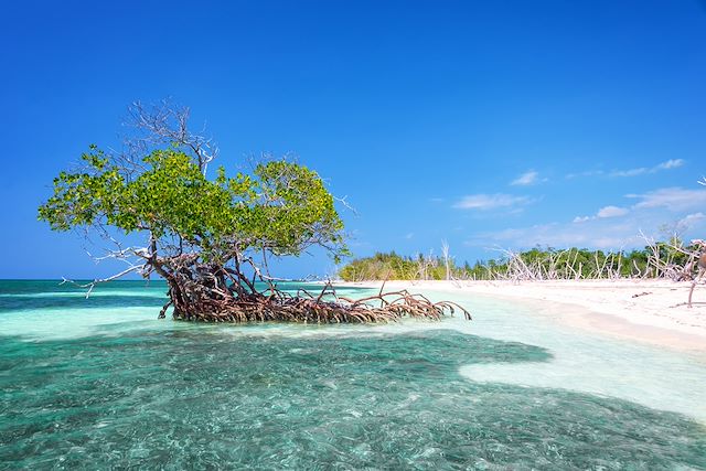 Voyage Cuba, la perle des Caraïbes 