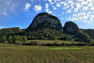 © Anastasia Nowak - Dans la région de Vinales - Cuba Dans la région de Vinales - Cuba