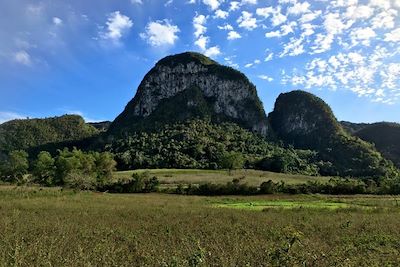 Dans la région de Vinales - Cuba