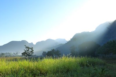 La vallée de Pan de Azucar - Cuba