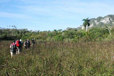 Randonnée dans la Sierra del Infierno - Cuba