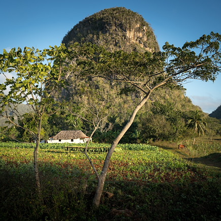 Sur les sentiers cubains entre sierra et playa