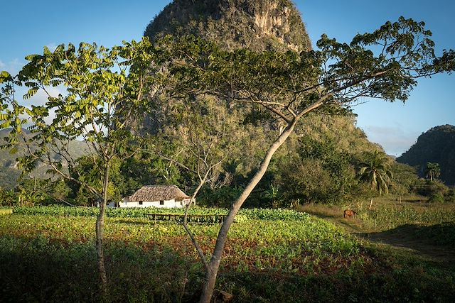 Voyage Sur les sentiers cubains entre sierra et playa