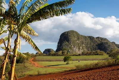 © Marija Mandic / Stocksy - Vallée de Vinales - Cuba Vallée de Vinales - Cuba
