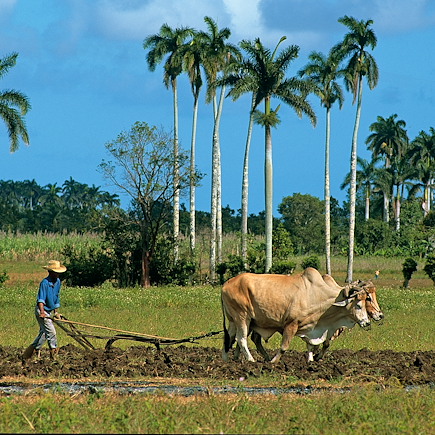 Vélo Cuba