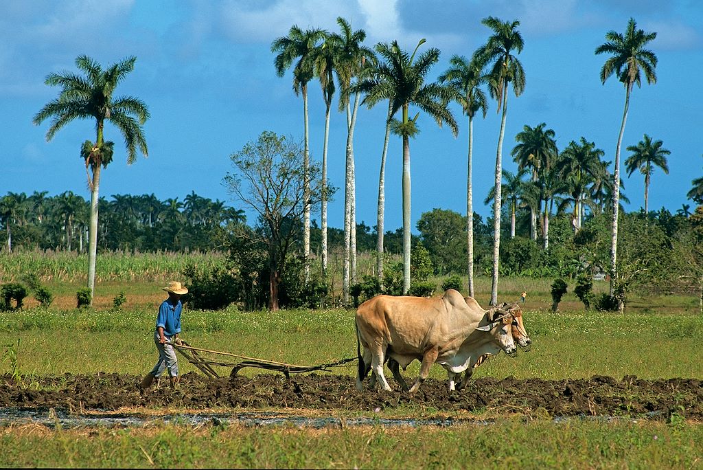 Image La Havane à vélo – Visite villes coloniales – Découvrir la vallée de Viñales