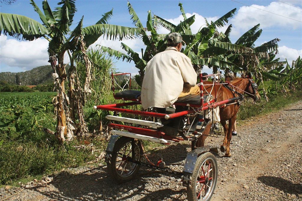 Image La Havane à vélo – Visite villes coloniales – Découvrir la vallée de Viñales
