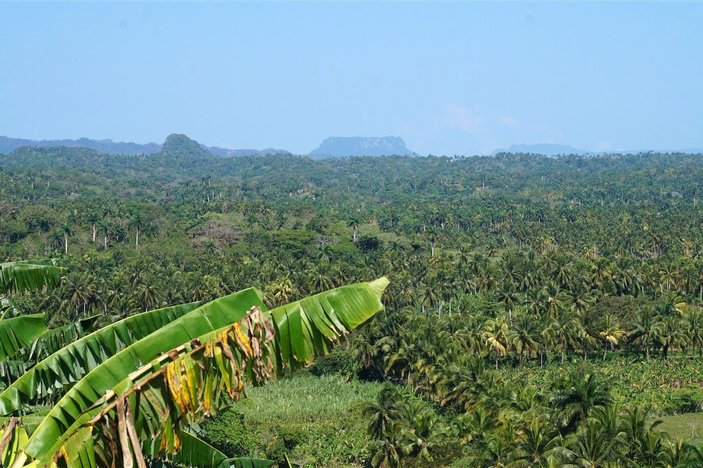 Image Plages Cayo Levisa - Découverte La Havane - Visite Cienfuegos