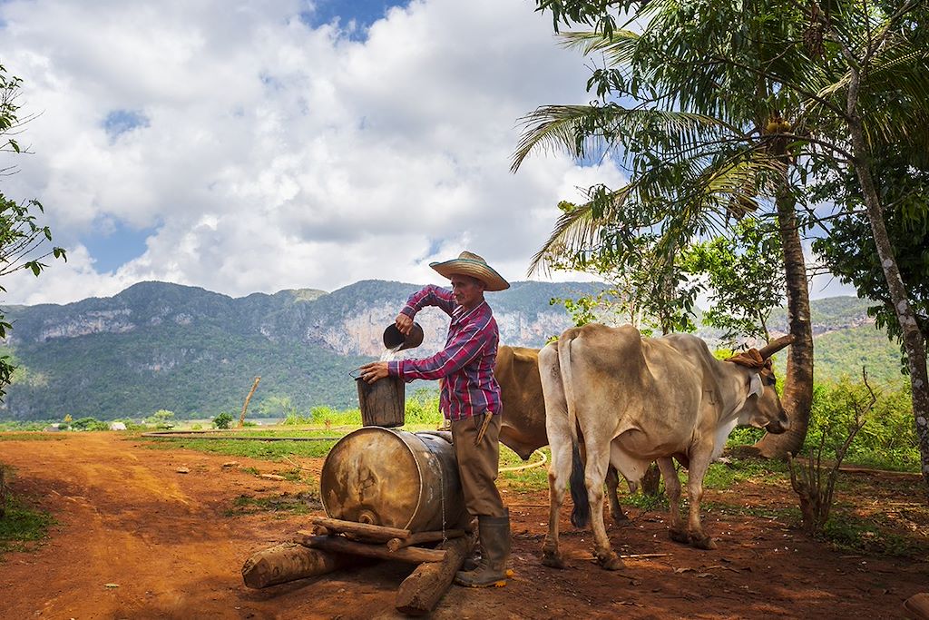 Image Nuit Chez L'Habitant Vallée De Viñales - Plages Baie des Cochons - Visite Trinidad