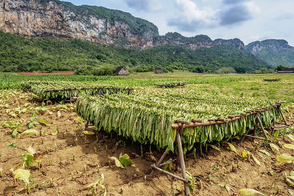 Image Nuit Chez L'Habitant Vallée De Viñales - Plages Baie des Cochons - Visite Trinidad