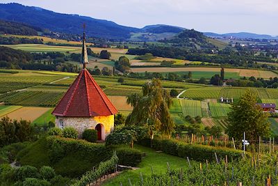 © Erich Spiegelhalter / STG / Schwarzwald Tourismus OT - Markgräflerland - Forêt Noire - Allemagne Markgräflerland - Forêt Noire - Allemagne