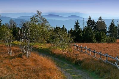 © Michael Sauer / Schwarzwald Tourismus OT - Schliffkopf - Forêt Noire - Allemagne Schliffkopf - Forêt Noire - Allemagne