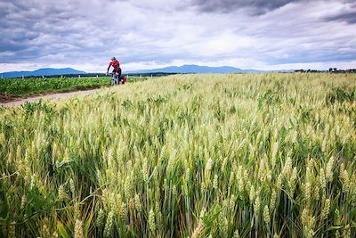 Voyager à vélo