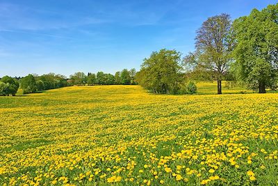 De Munich à Venise à vélo - Italie