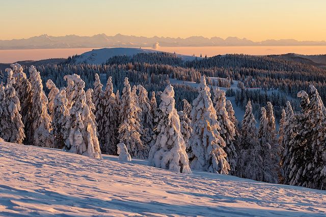 Randonnée en Raquettes à Neige - Forêt Noire en Allemagne