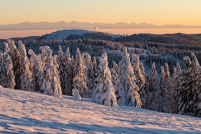 Paysage enneigé de la Forêt-Noire - Allemagne