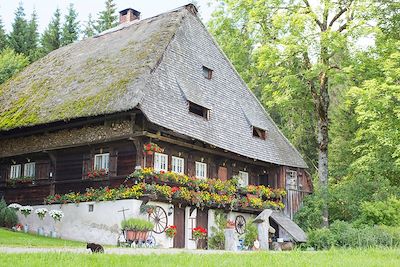 Moulin traditionnel - Forêt Noire - Allemagne