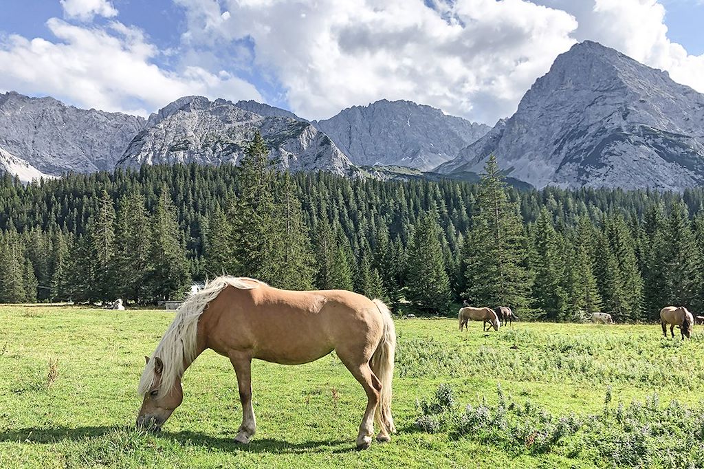 Image Randonnée Zugspitze - Randonnée Bavière - Trek Garmisch