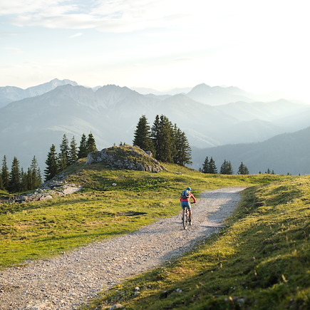 VTT / Gravel Allemagne