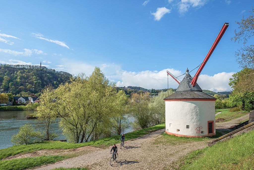 Image Piste cyclable de la Moselle - De Trèves à Coblence à vélo - Véloroute de la Moselle