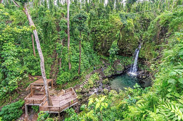 Voyage La Dominique, entre jungle et volcans