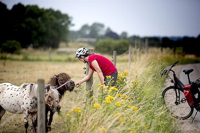 © Østdansk Turisme - Rencontre à vélo - Danemark Rencontre à vélo - Danemark