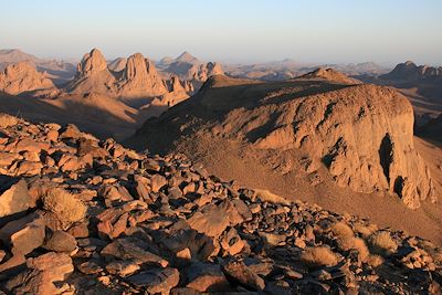 Randonnée avec chameau Algérie