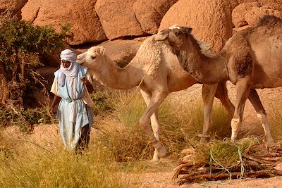 © Didier Farnault - Hoggar - Algérie Hoggar - Algérie