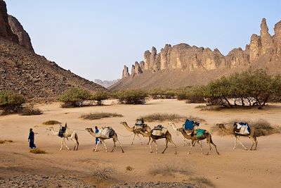 © ROY Philippe / hemis.fr - Caravane chamelière - Tassili N'Ajjer - Algérie Caravane chamelière - Tassili N'Ajjer - Algérie