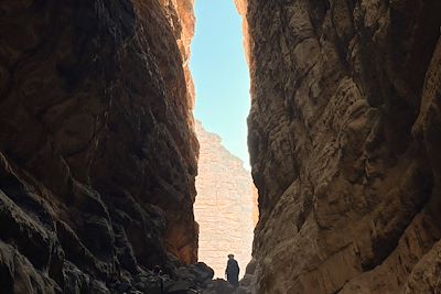 Désert - Tassili - Algérie