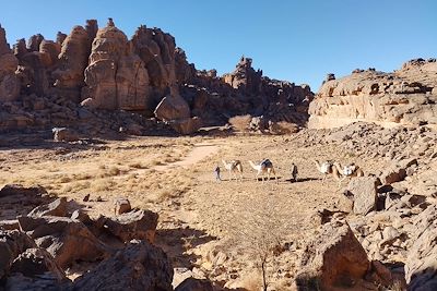 © Marc Espinasse - Chameaux et bédouins dans le plateau de Séfar dans le Tassili des Ajjers - Algérie Chameaux et bédouins dans le plateau de Séfar dans le Tassili des Ajjers - Algérie