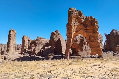 © Marc Espinasse - Roches érodées du plateau de Séfar dans le Tassili des Ajjers - Algérie Roches érodées du plateau de Séfar dans le Tassili des Ajjers - Algérie