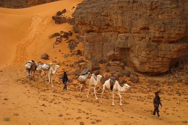 Randonnée avec chameau : Dunes et canyons des Ajjers Voyage Dunes et canyons des Ajjers