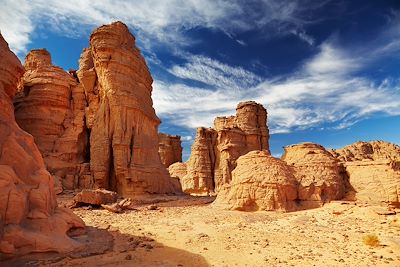 © Dmitry Pichugin / Adobe Stock - Désert du Sahara - Tassili N'Ajjer - Algérie Désert du Sahara - Tassili N'Ajjer - Algérie