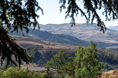 Sétif - Algérie