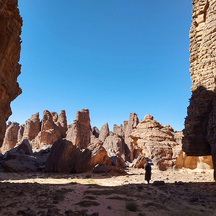 Le plateau de Séfar sur les pas d'Henri Lhote