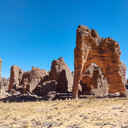 Randonnée avec chameau Algérie