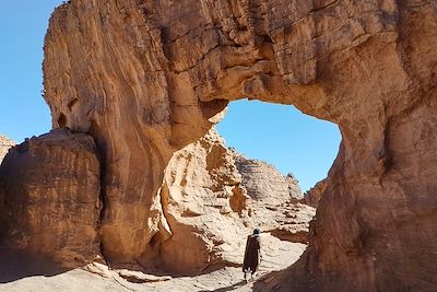 Roches érodées du plateau de Séfar dans le Tassili des Ajjers - Algérie